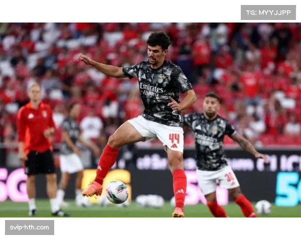 本菲卡托马斯阿劳霍回归 后防线经验得到补充加强